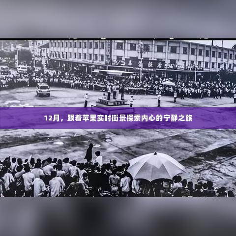 12月苹果实时街景,探索内心宁静之旅