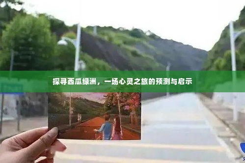 探寻西瓜绿洲,心灵之旅的启示与预测之旅