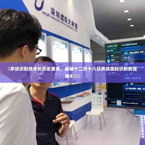 声纹识别技术的历史演变与实时识别奥秘揭秘,十二月十八日的揭秘之旅