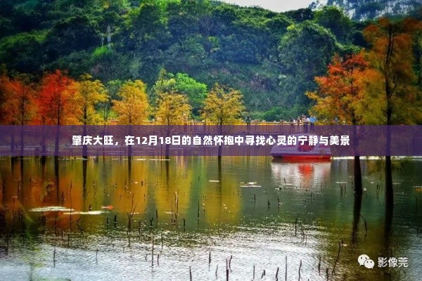 肇庆大旺,心灵与自然美景的邂逅之旅(12月18日)