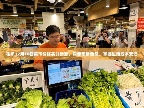 往年12月18日菜市价格实时动态解析,洞悉市场脉动,掌握生活成本变化
