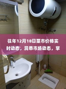 往年12月18日菜市价格实时动态解析,洞悉市场脉动,掌握生活成本变化