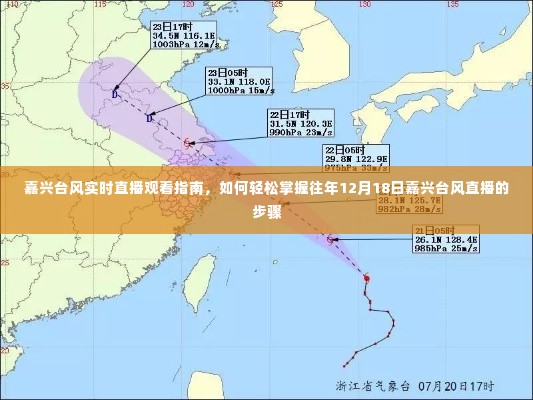 嘉兴台风实时直播观看指南，轻松掌握往年台风直播步骤回顾