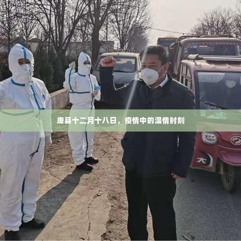 唐县疫情中的温情时刻,十二月十八日的坚守与希望