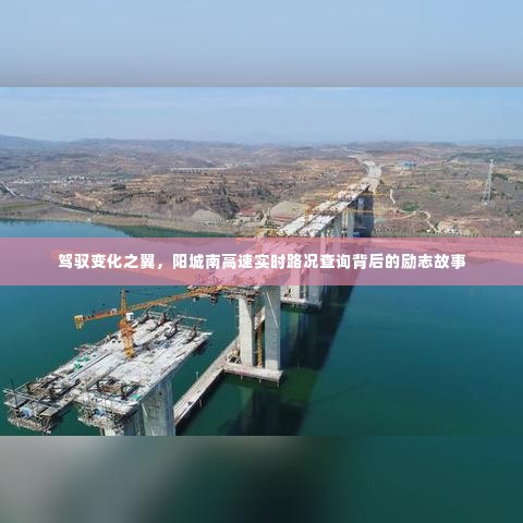 驾驭变化之翼,阳城南高速实时路况查询背后的奋斗与励志故事