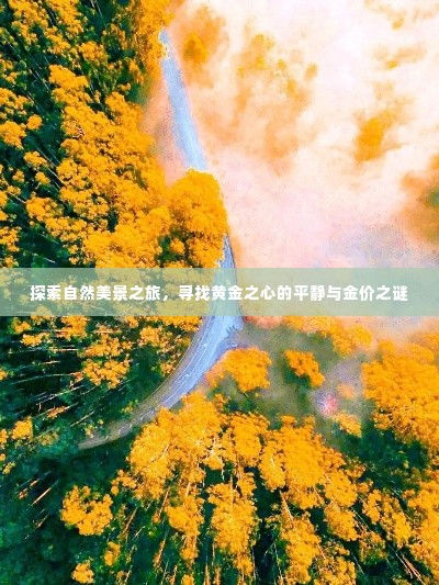 自然探索之旅,黄金之心之旅的平静与金价之谜
