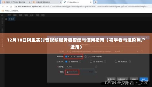 阿里实时音视频服务器搭建与使用指南(适合初学者与进阶用户)