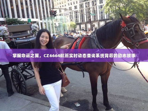 掌握命运之翼,CZ6664航班实时动态查询系统背后的励志之旅