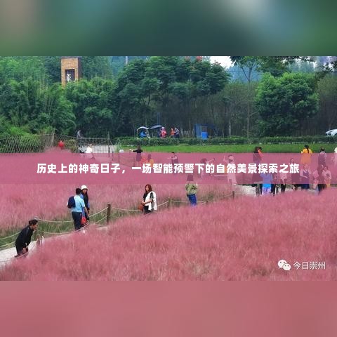 神奇日子下的自然美景探索之旅,智能预警与历史的交织