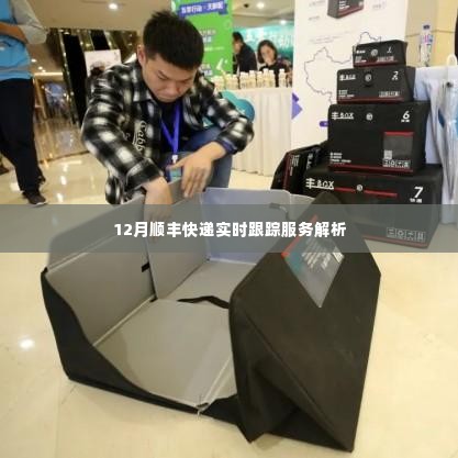 12月顺丰快递实时跟踪服务详解