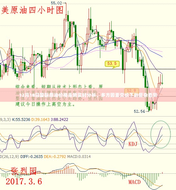12月18日国际原油走势实时分析,多方因素交织的复杂态势解析