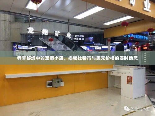巷弄秘境中的宝藏小店,比特币与美元价格实时动态揭秘之旅