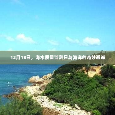 海洋奇遇日,海水质量监测与海洋的奥秘探索
