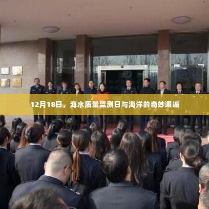 海洋奇遇日,海水质量监测与海洋的奥秘探索