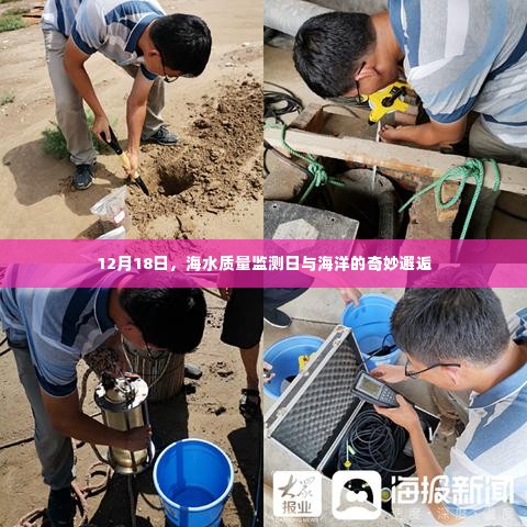 海洋奇遇日,海水质量监测与海洋的奥秘探索