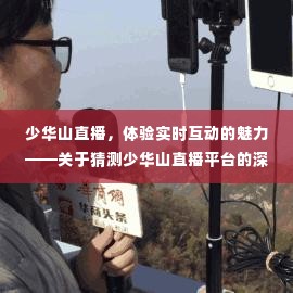 少华山直播平台深度评测,实时互动的魅力与猜测体验
