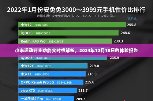 小米运动计步功能实时体验报告,深度解析与2024年12月18日体验反馈