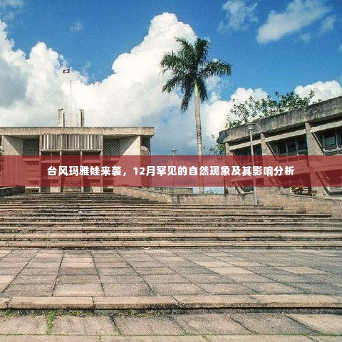 台风玛雅娃来袭,罕见的自然现象及其影响分析