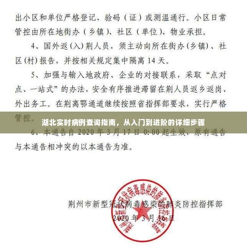 湖北实时病例查询指南,从入门到进阶的详细步骤解析