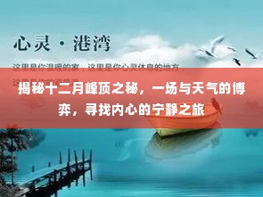 揭秘十二月峰顶之秘,天气博弈与内心宁静之旅探寻