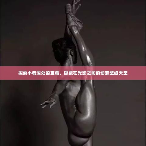 光影之间隐藏的宝藏,动态壁纸小巷深处的探索之旅