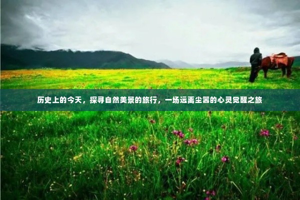 历史中的今日,自然美景探寻之旅,心灵觉醒的远行
