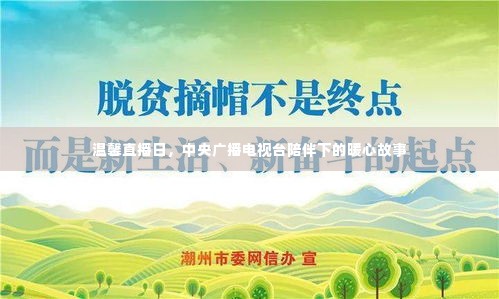 中央广播电视台直播日,暖心陪伴的温馨故事