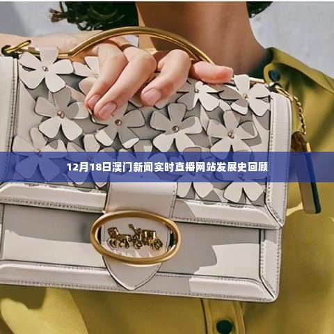 澳门新闻实时直播网站发展史回顾,从初创至今的历程回顾(12月18日)