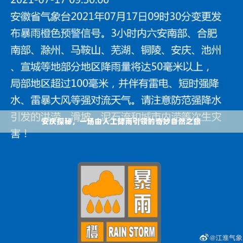 粗枝大叶 第4页