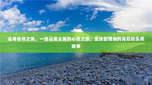 追寻自然之美,心灵之旅中的乐观力量与全球疫情背后的希望