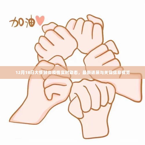 大悟肺炎疫情最新实时动态及关键信息概览(12月18日)