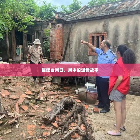 福建台风日,风中的温情与力量