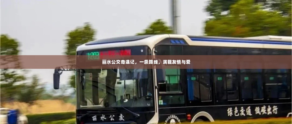 丽水公交奇遇记,友情与爱的路线之旅