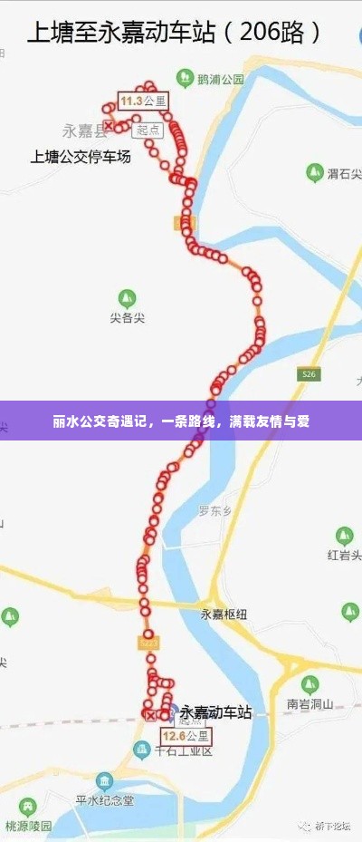 丽水公交奇遇记,友情与爱的路线之旅