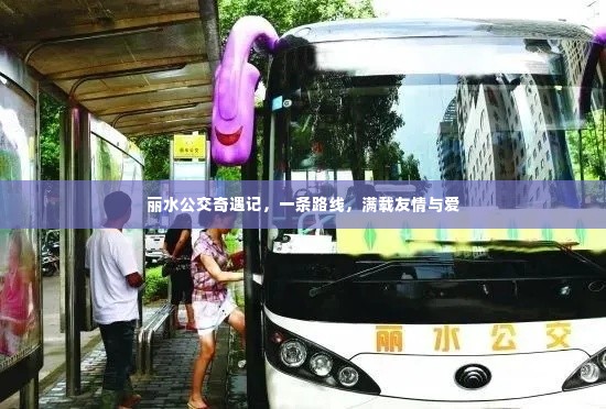 丽水公交奇遇记,友情与爱的路线之旅