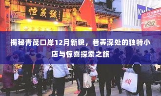青茂口岸巷弄深处的独特小店与惊喜探索之旅,揭秘十二月新貌