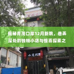 青茂口岸巷弄深处的独特小店与惊喜探索之旅,揭秘十二月新貌