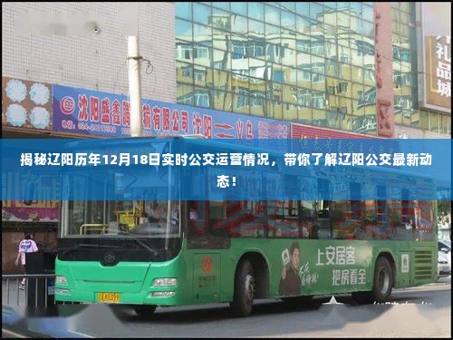 辽阳公交最新动态,揭秘历年12月18日实时运营情况!