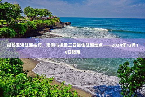 揭秘深海赶海技巧与三亚最佳赶海地点预测——赶海指南(2024年12月)