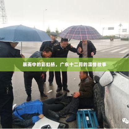 广东十二月的温情故事,暴雨中的彩虹桥