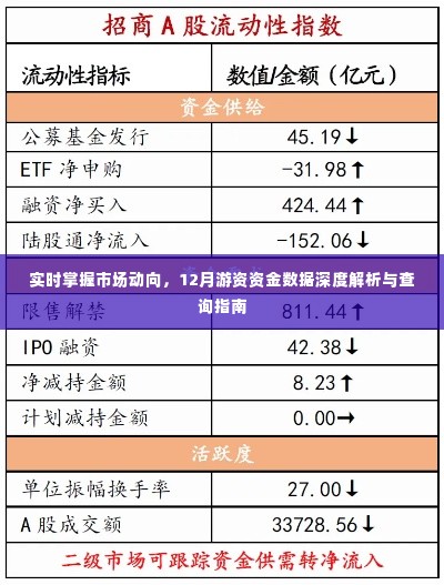 实时掌握市场动向,游资资金数据深度解析与查询指南(12月版)
