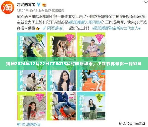 「独家揭秘,CZ8473航班实时动态,一探究竟的航班之旅(小红书体验分享)」
