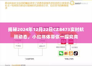 「独家揭秘,CZ8473航班实时动态,一探究竟的航班之旅(小红书体验分享)」