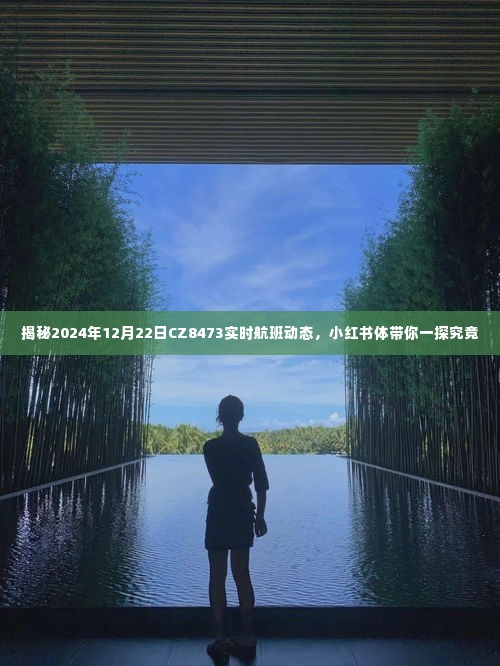 「独家揭秘,CZ8473航班实时动态,一探究竟的航班之旅(小红书体验分享)」