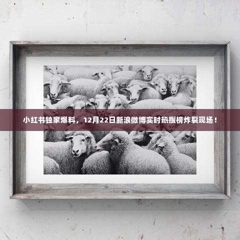 小红书独家爆料揭秘,微博热搜榜炸裂现场!