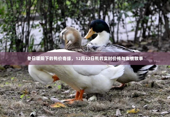 鸟面鹄形 第4页