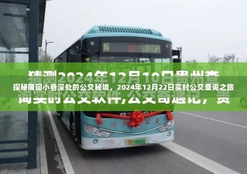 探秘隆回小巷深处的公交秘境,实时公交查询之旅(2024年12月22日)