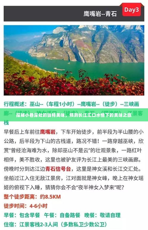 探秘小巷深处的独特美味，长江汇口水情下的美食之旅揭秘