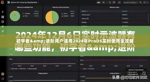 初学者与进阶用户必备的2024年ProDS实时使用全攻略