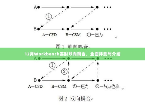 12月Workbench实时双向耦合,全面解读与评测